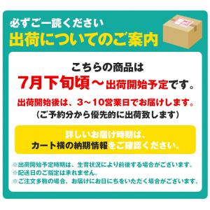 ピオーネ ニューピオーネ 約2kg 4〜5房 ...の詳細画像1