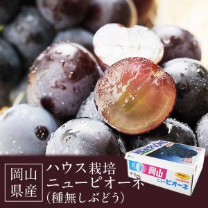 ピオーネ ニューピオーネ 約2kg 4〜5房 ...の詳細画像2