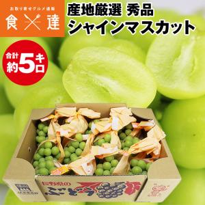 シャインマスカット 約5kg 7〜12房程度 秀 産地厳選 贈答用 ぶどう ブドウ 白ぶどう 葡萄 種無し 露地栽培 冷蔵便 同梱不可 指定日不可