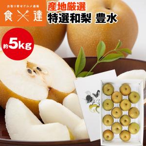 石川県 金沢産 幸水梨” 秀品 10〜14玉前後 約5kg【予約 8月末以降