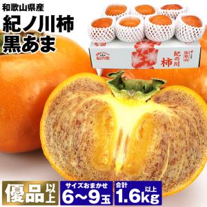 北海道 コクワ（サルナシ） コクワ（サルナシ）500g×1パック 北海道産こくわ 出荷時期：9月 : 旬を