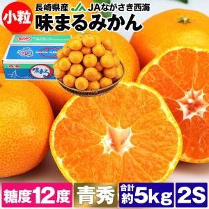 味まるみかん 5kg 小粒 長崎県産 青秀 77〜85玉 2Sサイズ 小玉 JAながさき西海 あじまる 常温便 同梱不可 指定日不可 ミカン 蜜柑 柑橘 フルーツ 果物 旬