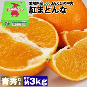 紅まどんな みかん 3kg 愛媛県産 秀品 贈答 ギフト 青秀 以上 JAえひめ中央 常温便 同梱不可 指定日不可 ミカン 蜜柑 旬