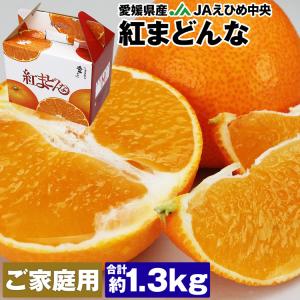 紅まどんな 1.3kg 愛媛県産 ご家庭用 手土産 6〜10玉程度 M〜2Lサイズおまかせ みかん 良品以上 JAえひめ中央 常温便 同梱不可 指定日不可