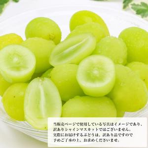 シャインマスカット 訳あり 2〜3房 約1kg...の詳細画像3