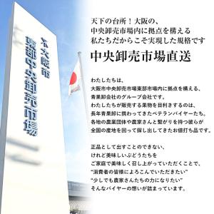 シャインマスカット 訳あり 2〜3房 約1kg...の詳細画像4