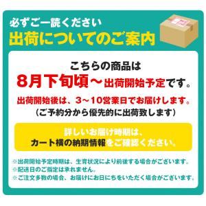 シャインマスカット 訳あり 2箱 4〜6房 2...の詳細画像1