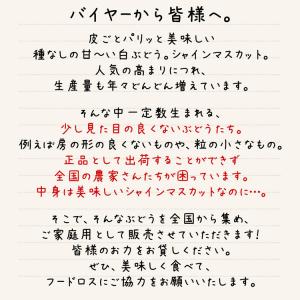 シャインマスカット 訳あり 2箱 4〜6房 2...の詳細画像2