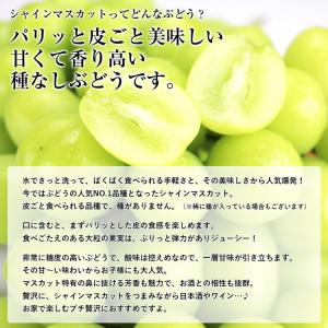 シャインマスカット 訳あり 2箱 4〜6房 2...の詳細画像5