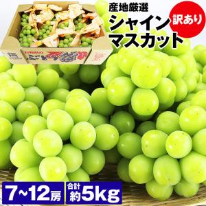 訳あり シャインマスカット 約5kg 7〜12房 ご家庭用 お徳用 お買い得 ぶどう 産地厳選 贈答用 ブドウ 種無し 冷蔵便 同梱不可 指定日不可