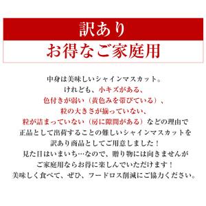 訳あり シャインマスカット 約5kg 7〜12...の詳細画像2