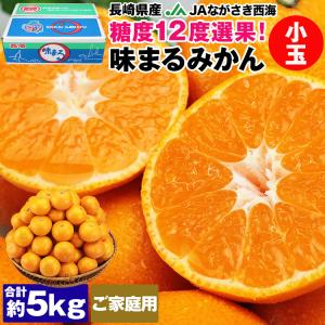 味まるみかん 5kg 小粒 長崎県産 ご家庭用 2Sサイズ 小玉 JAながさき西海 あじまる 常温便 同梱不可 指定日不可 ミカン 蜜柑