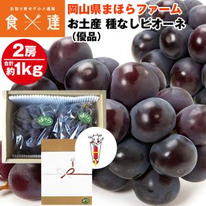 ニューピオーネ 種無し ピオーネ 2房 約1kg 糖度18度以上 岡山県産 優品 無地熨斗付き 葡萄 産直 冷蔵便 同梱不可 指定日不可