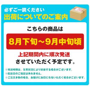 ニューピオーネ 種無し ピオーネ 2房 約1k...の詳細画像1