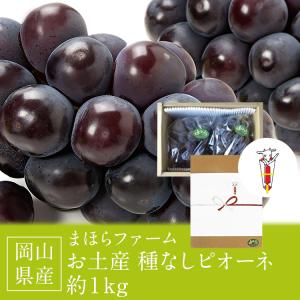 ニューピオーネ 種無し ピオーネ 2房 約1k...の詳細画像2