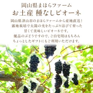 ニューピオーネ 種無し ピオーネ 2房 約1k...の詳細画像3