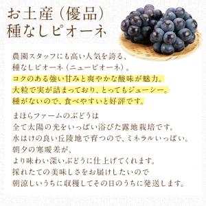 ニューピオーネ 種無し ピオーネ 2房 約1k...の詳細画像5