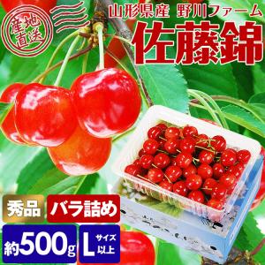 さくらんぼ 佐藤錦 秀 500g Lサイズ以上 バラ詰め 化粧箱入り 山形県 サクランボ さとうにしき 産直 産地直送 冷蔵便 同梱不可 指定日不可