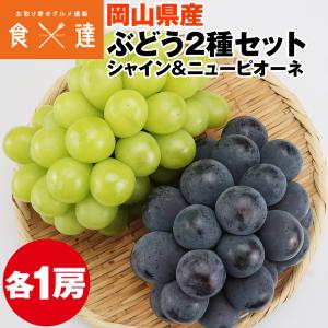 シャインマスカット ニューピオーネ 食べ比べ 2...の商品画像