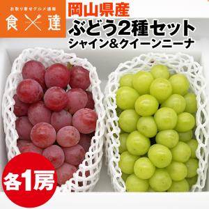 シャインマスカット クイーンニーナ 食べ比べ 2種 ぶどう 詰め合わせ 2房 1.1kg 秀品 岡山県産 贈答用 化粧箱 産直 産地直送 冷蔵便 同梱不可 指定日不可