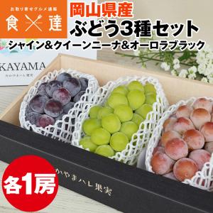 ぶどう 食べ比べ シャインマスカット オーロラブラック クイーンニーナ 約1.8kg 3種セット 岡山県産 産直 冷蔵便 同梱不可 指定日不可