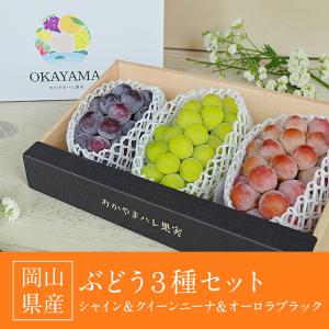ぶどう 食べ比べ シャインマスカット オーロラ...の詳細画像1