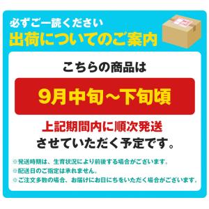 ぶどう 食べ比べ シャインマスカット オーロラ...の詳細画像2