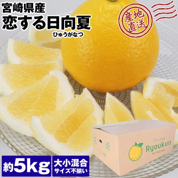 日向夏 国産 宮崎県産 5kg 大小混合 恋する日向夏 ひゅうがなつ 柑橘 減農薬 露地栽培 産直 ...