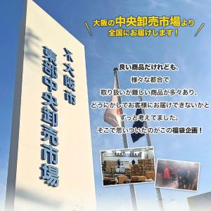 福袋 食品 店長おまかせ福袋 冷凍便 何が入っ...の詳細画像1