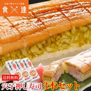 大起水産 押し寿司 穴子 3本セット 8貫入x3P(計24貫) 送料無料 冷凍便 すし アナゴ あなご 煮穴子 グルメ 食品 ギフト