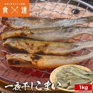 こまい 1kg 一夜干し 北海道産 氷下魚 コマイ 冷凍 魚 干物 炙り おつまみ 下処理済 個別氷結