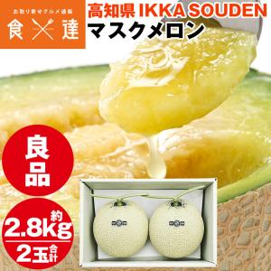 メロン 高知県夜須産 ”エメラルドメロン” ちょっと訳あり 大玉 5〜6玉