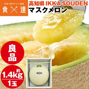 高知産　温室マスクメロン　７玉　約８，２Kｇ（箱込み）　秀品　北海道沖縄発送不可 マスクメロン ギフト 高級 2玉 合計2.8kg (1.4kg×2玉) 上級品 産地直送