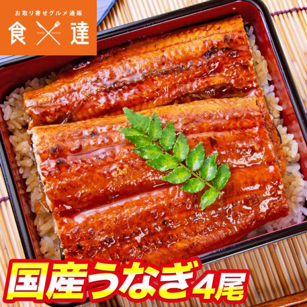 国産うなぎ 4尾 約150g ×4 鰻 蒲焼 かば焼き 土用丑 土用 丑の日 スタミナ 夏 冷凍便 ...