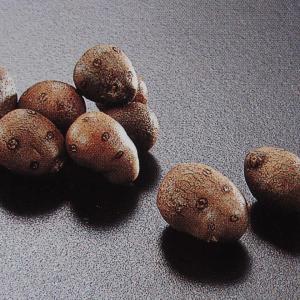 むかご 2kg(500g×4袋) 冷凍 業務用◇山福