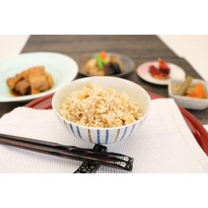 GABA玄米もち麦ごはん(プレーン・ひじき大豆...の詳細画像2