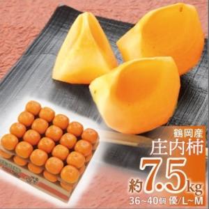 【2025年予約販売】JA鶴岡「庄内柿 優品7.5kg（L〜M/36〜40個）」種なし 山形県鶴岡市...