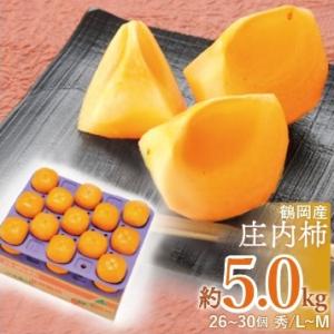 【2025年予約販売】JA鶴岡「庄内柿 秀品5kg（L〜M/26〜30個）」種なし 山形県鶴岡市産　...