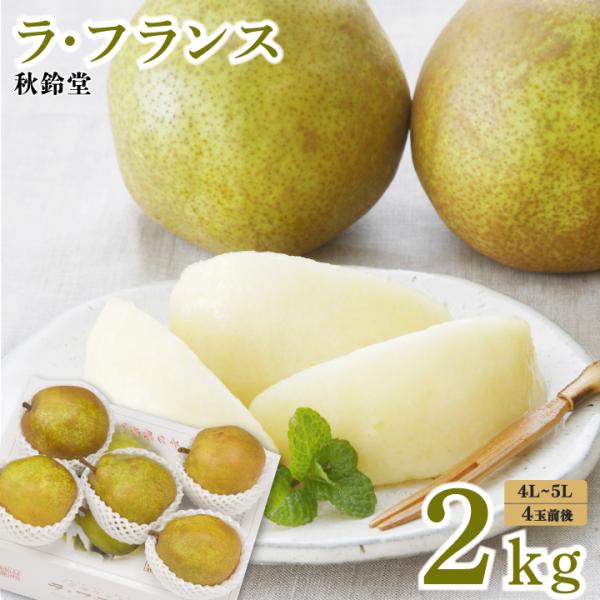 秋鈴堂「ラ・フランス 大玉2kg（4〜5L/4玉程）」産地直送　11月上旬発送　ギフト