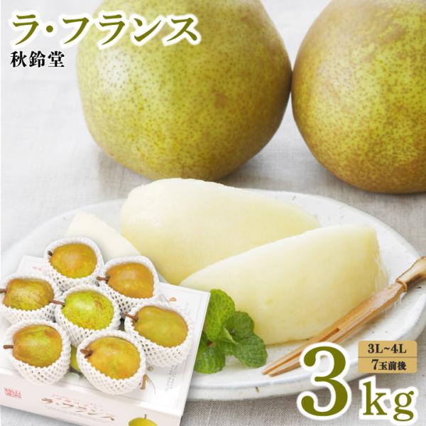 【2026年予約販売】秋鈴堂「ラ・フランス 3kg（3〜4L/7玉前後）」 　山形県天童市　ラ・フラ...