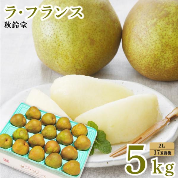 【2026年予約販売】秋鈴堂「ラ・フランス 5kg（2L/17玉前後）」 　山形県天童市　ラ・フラン...