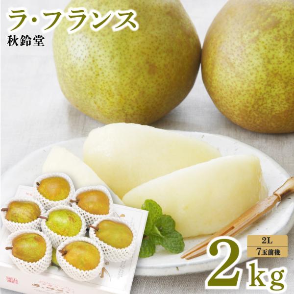 【2026年予約販売】秋鈴堂「ラ・フランス 2kg（2L/7玉前後）」 　山形県天童市　ラ・フランス...