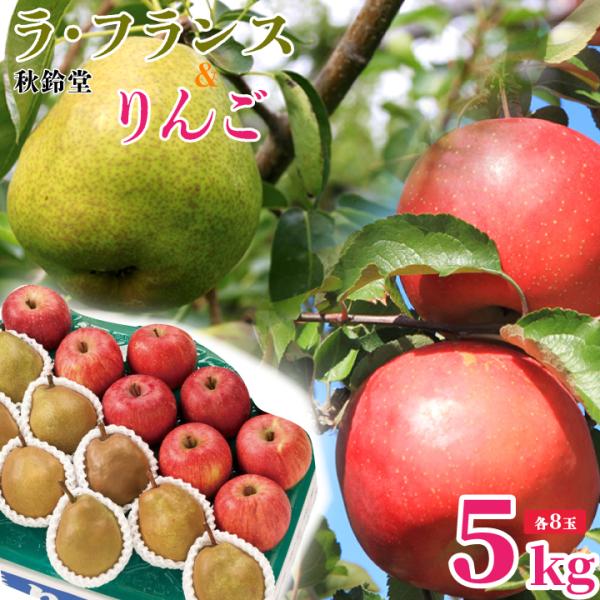 秋鈴堂「ラ・フランス＆りんごセット5kg（各8玉）」ふじ 12月上旬発送　産地直送　ギフト