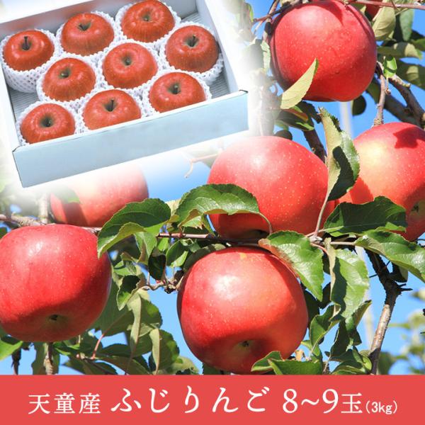 【2026年予約販売】秋鈴堂「ふじりんご 3kg（8〜9玉）」山形 天童 12月上旬発送　ギフト