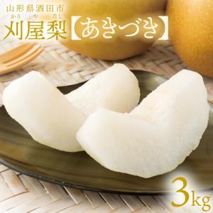 修験の里「開運しいたけ茶」【2g×20袋】山形県 庄内 出羽三山 鶴岡産