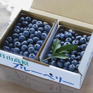 一部 月山高原 生ブルーベリー 約1kg/山形県羽黒産　無農薬・有機栽培