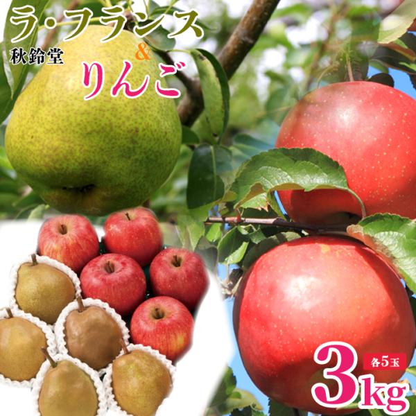 【2026年予約販売】秋鈴堂「ラ・フランス＆りんごセット3kg（各5玉）」ラ・フランス 　ふじりんご...