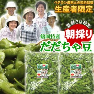 【2026年予約販売開始!】朝採りだだちゃ豆 ...の詳細画像1