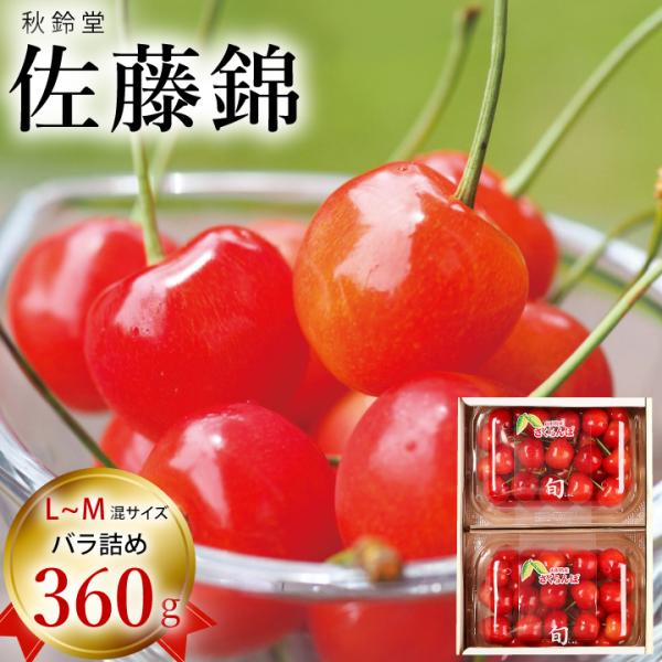 ☆50箱限定☆【2026年予約販売開始】秋鈴堂「佐藤錦（360g/バラ）」(露地栽培) 6月中旬〜6...