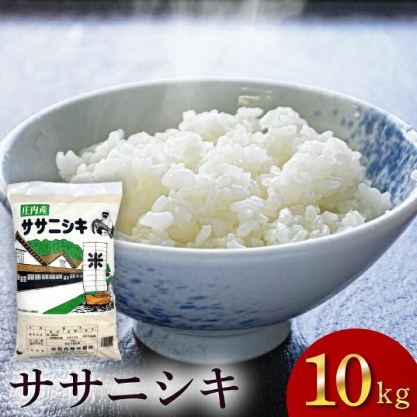 14日はポイント5倍！【予約販売】 令和7年度 新米「ササニシキ」山形県庄内産  白米 10kg